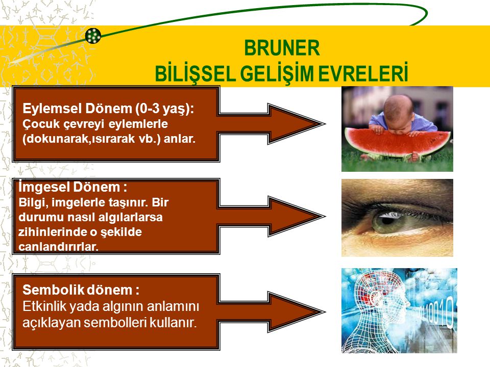 B L SEL GEL M Piaget Bruner Vygotsky. ppt video online indir